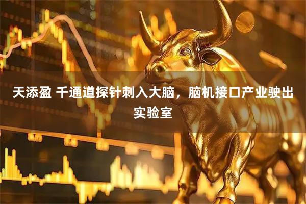 天添盈 千通道探针刺入大脑，脑机接口产业驶出实验室