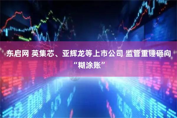 东启网 英集芯、亚辉龙等上市公司 监管重锤砸向“糊涂账”