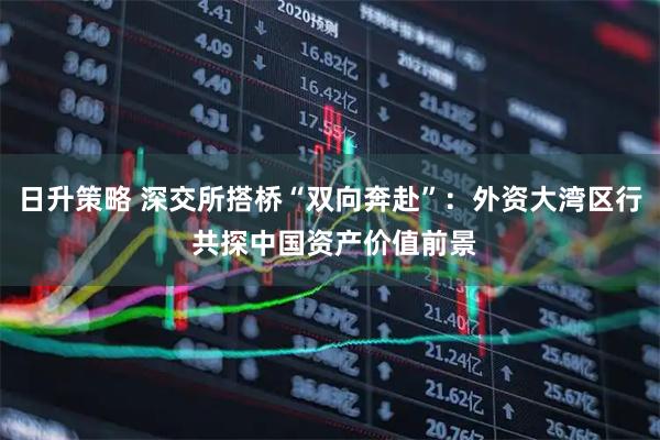 日升策略 深交所搭桥“双向奔赴”：外资大湾区行 共探中国资产价值前景